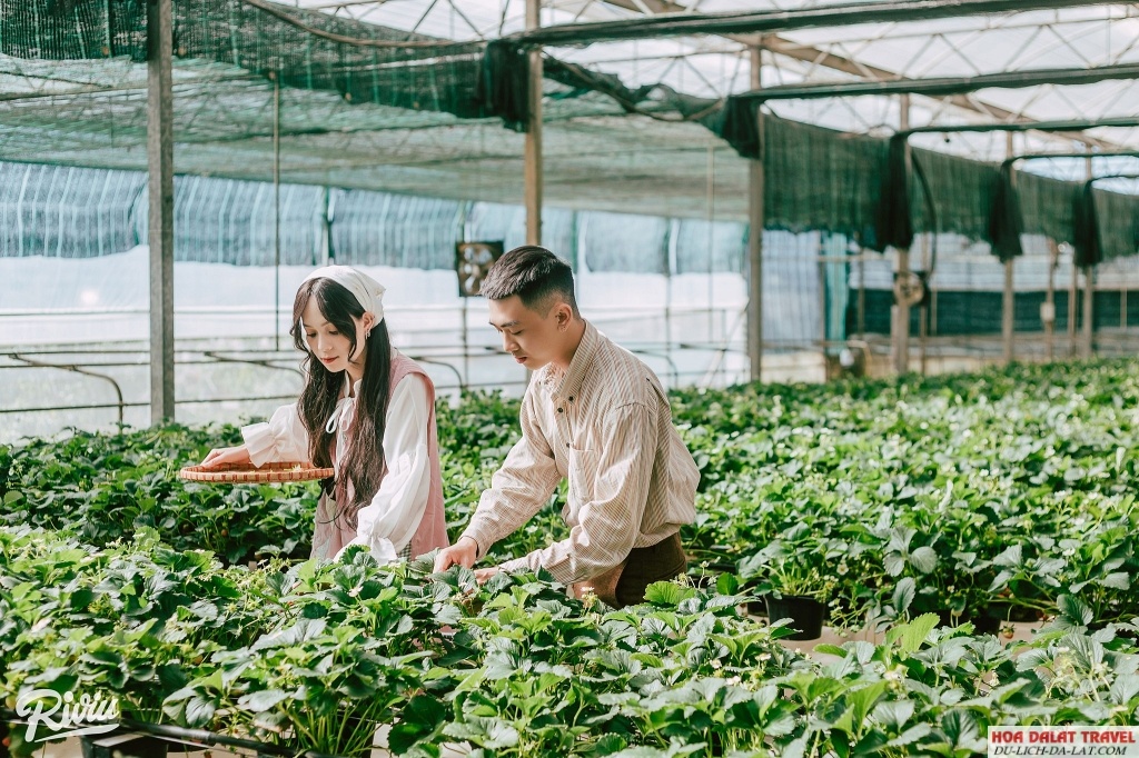 Mô hình độc đáo của Green Box Coffee