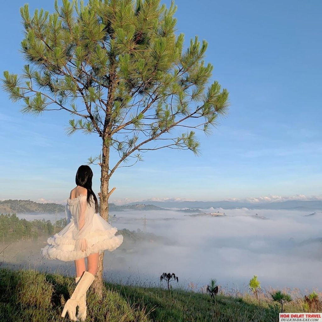 Săn Mây Ở Đồi Thiên Phúc Đức
