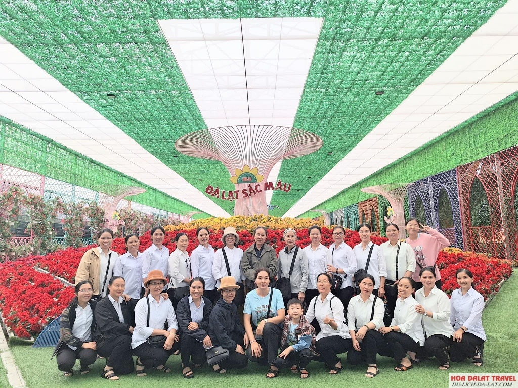 Tham gia tour Đà Lạt 1 ngày cực thú vị tại Đà Lạt sắc màu