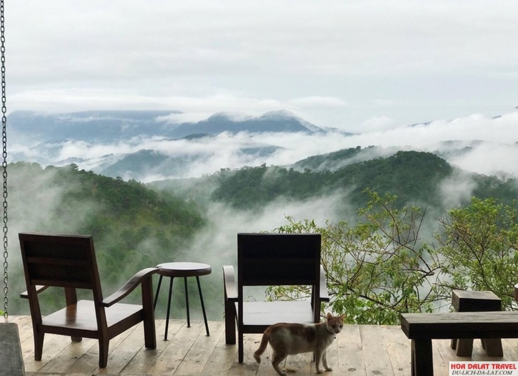 Tiệm Cà Phê Cheo Veo