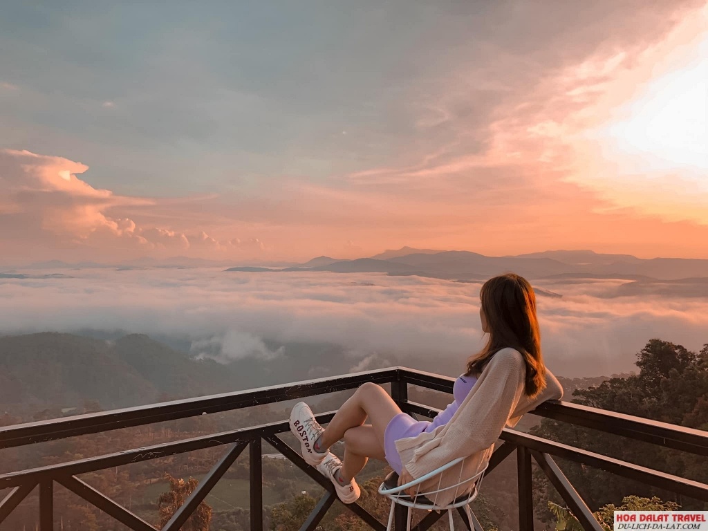 Top quán cafe săn mây Đà Lạt siêu hot