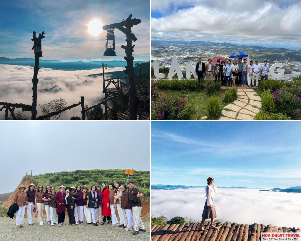 hình ảnh khách đi Tour săn mây Đà Lạt nửa ngày