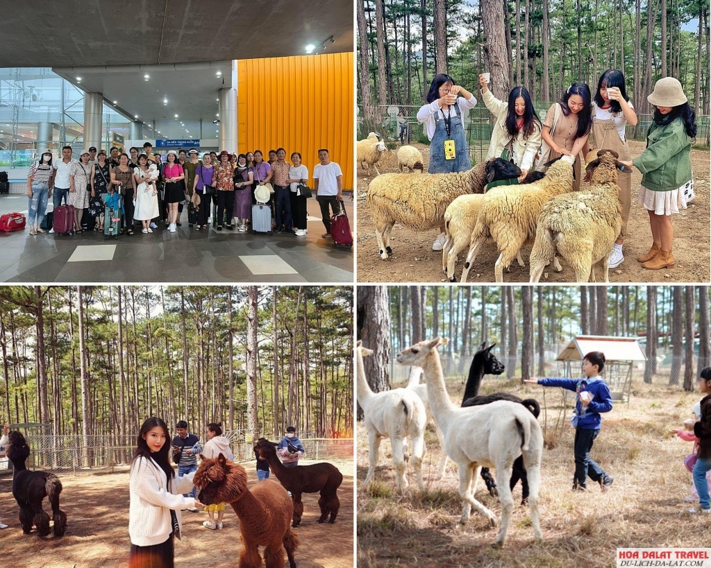 hình khách đi Tour sở thú Zoodoo Đà Lạt 1 ngày