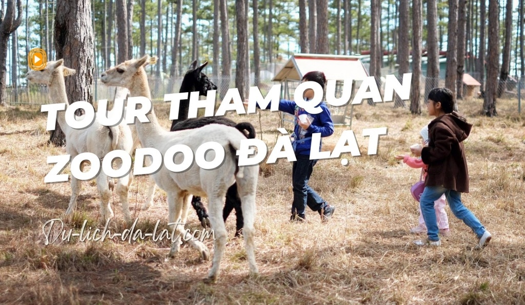 Tour tham quan sở thú Zoodoo Đà Lạt