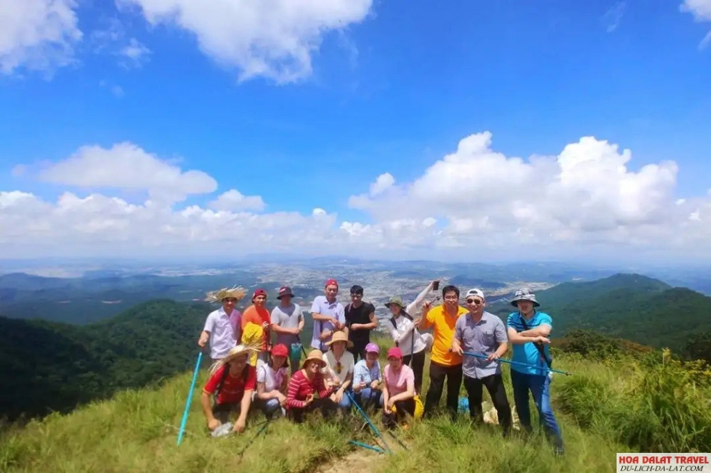 Tư vấn và đặt tour 1 ngày Đà Lạt