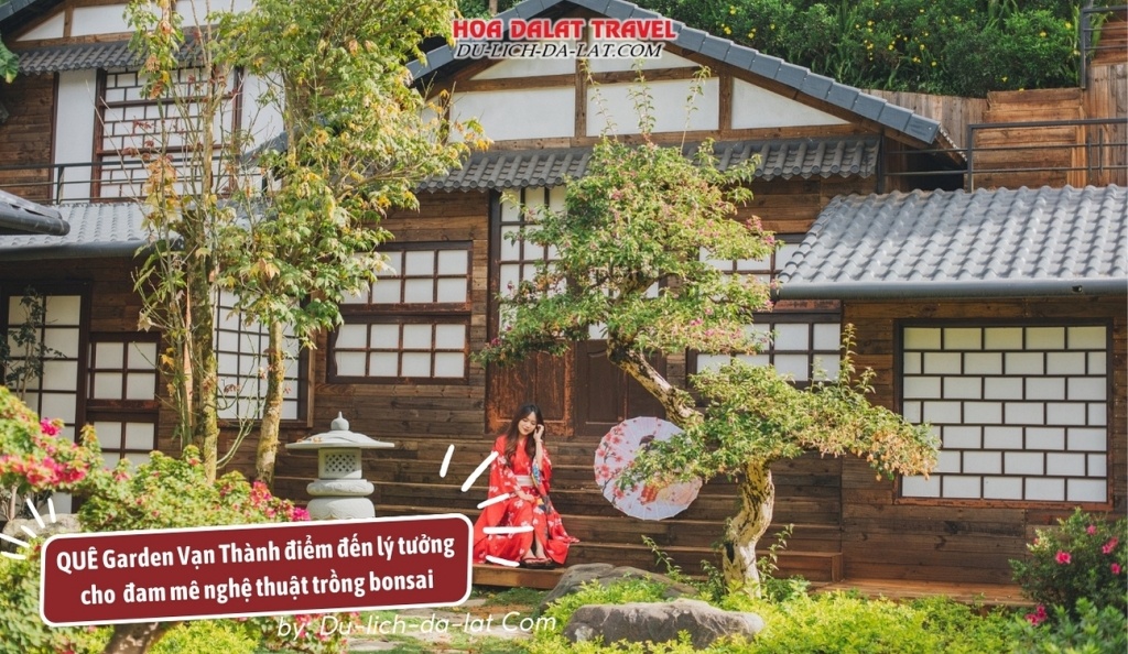QUÊ Garden Vạn Thành là điểm đến lý tưởng cho những bạn đam mê nghệ thuật trồng bonsai