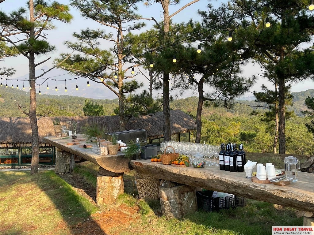 dịch vụ tại Laan