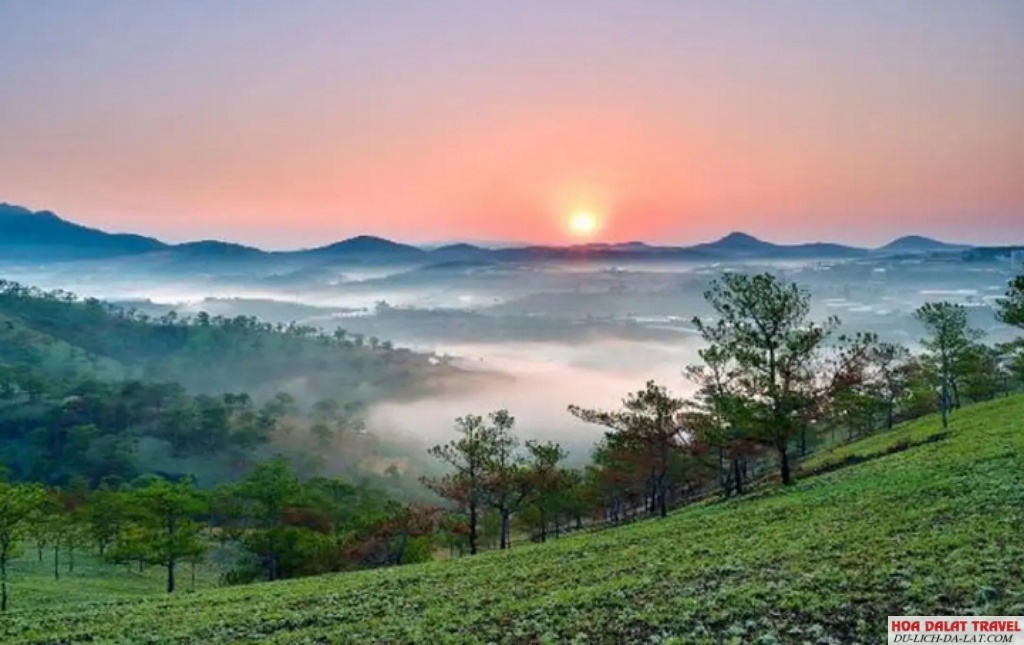 đồi Du Sinh Đà Lạt
