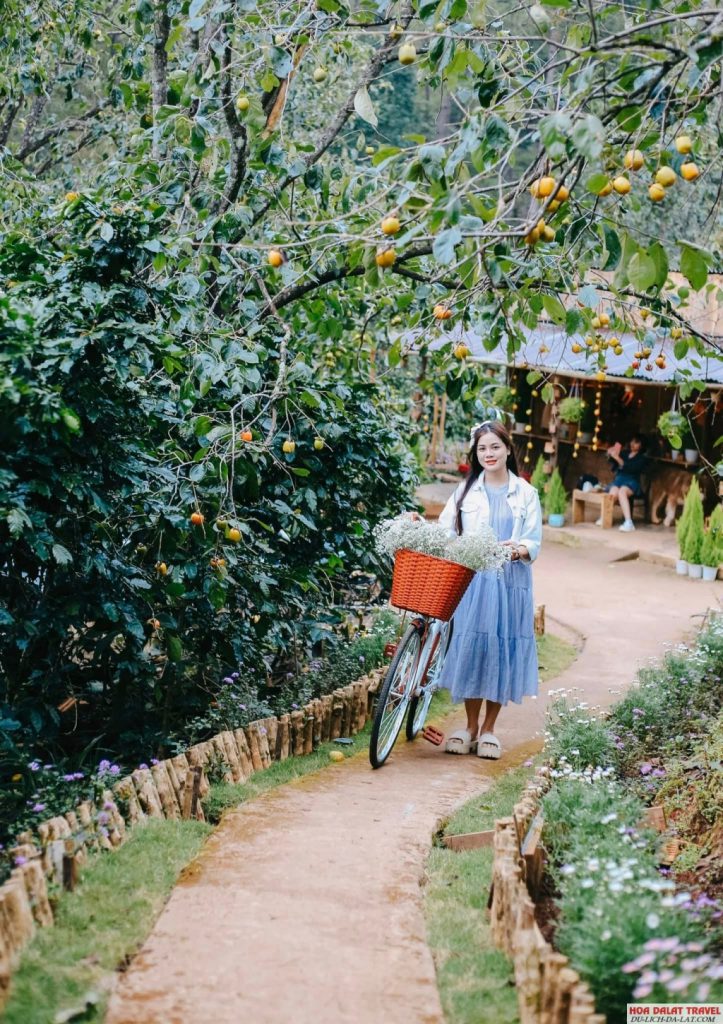 không gian thư thái, tràn ngập bình yên