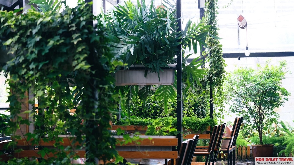 không gian xanh sạch tại Green Box Coffee