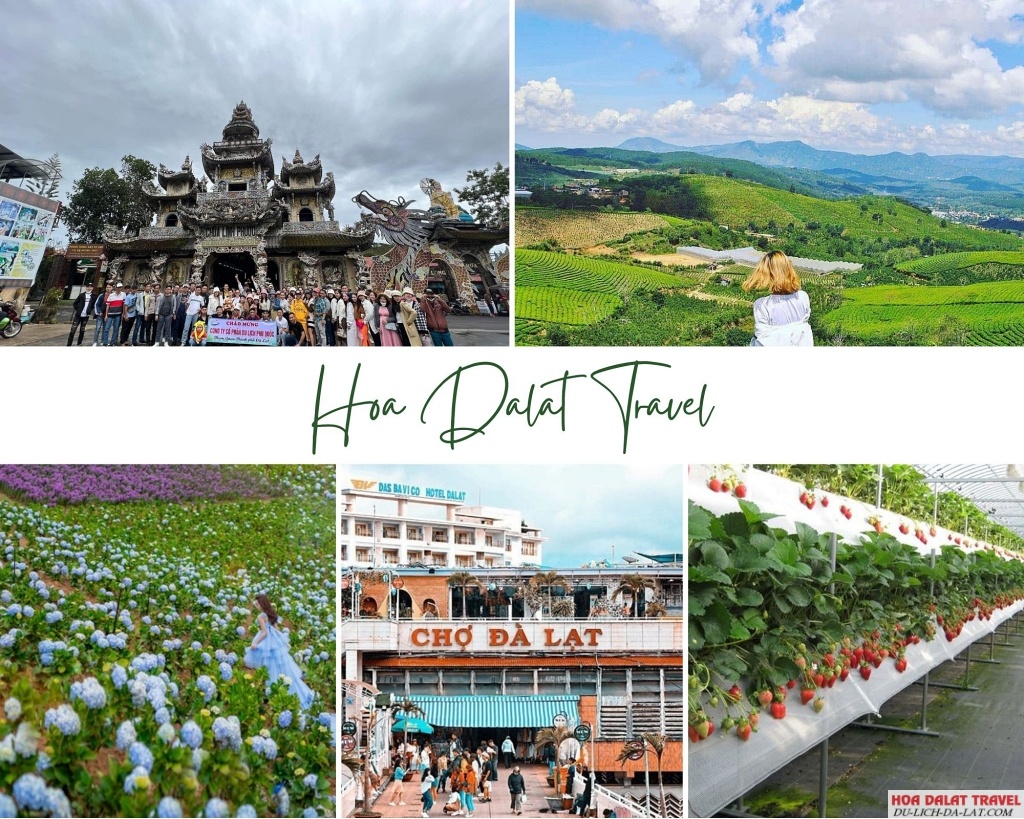 Lịch trình tour Đà Lạt 2 ngày 1 đêm