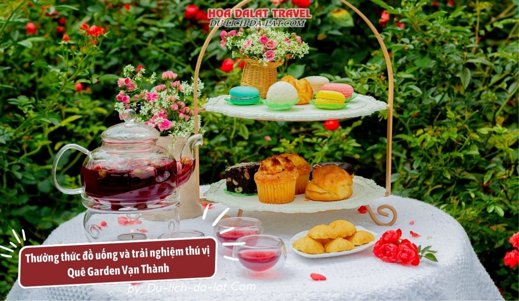 Thưởng thức đồ uống và trải nghiệm tiệc trà thú vị trong khu vườn