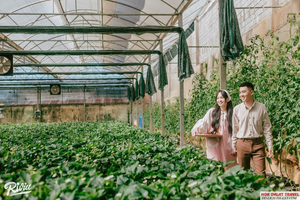 niềm vui khi tận hưởng không gian thiên nhiên