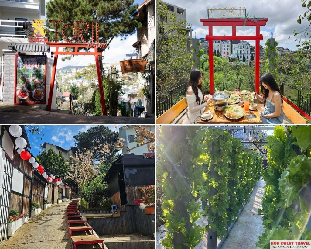 Nhà hàng lẩu rau khí canh Đà Lạt Torii