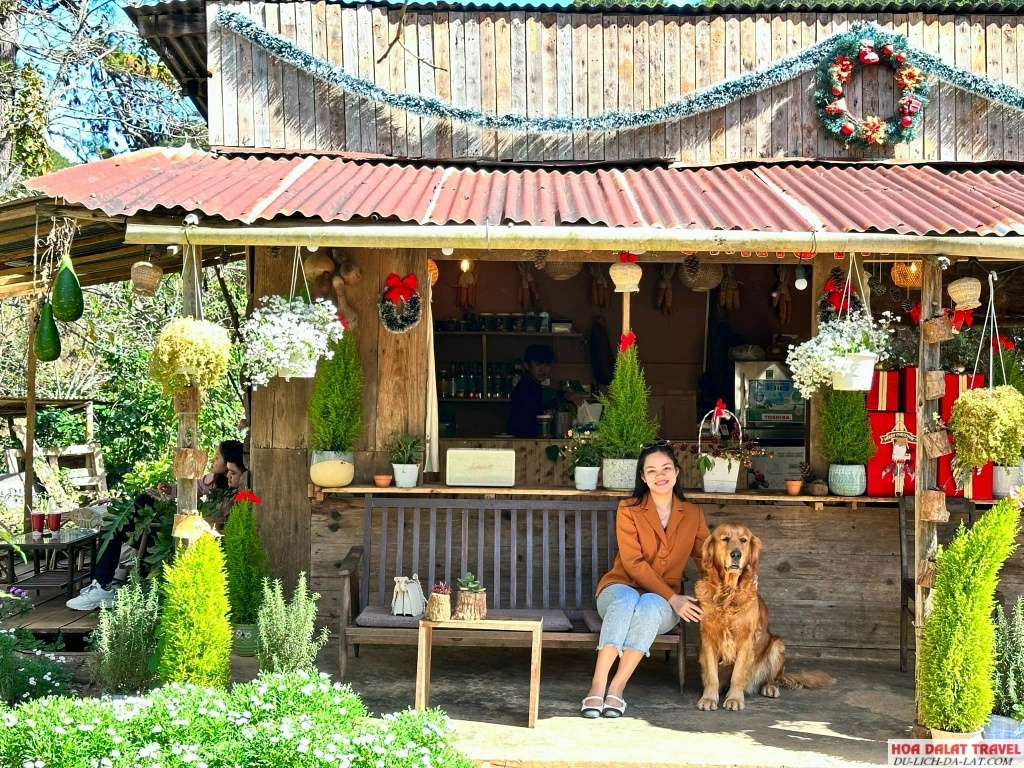 sự độc đáo riêng của quán Bao Tiền Một Mớ Bình Yên