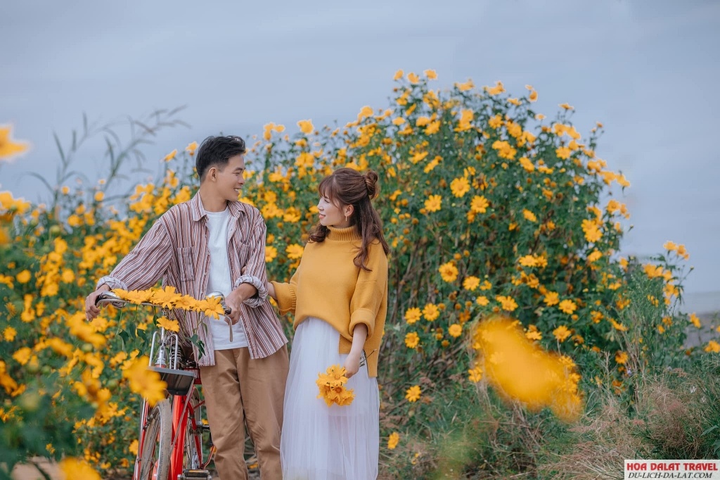 thuê xe máy tại Flower Hill để khám phá Đà Lạt