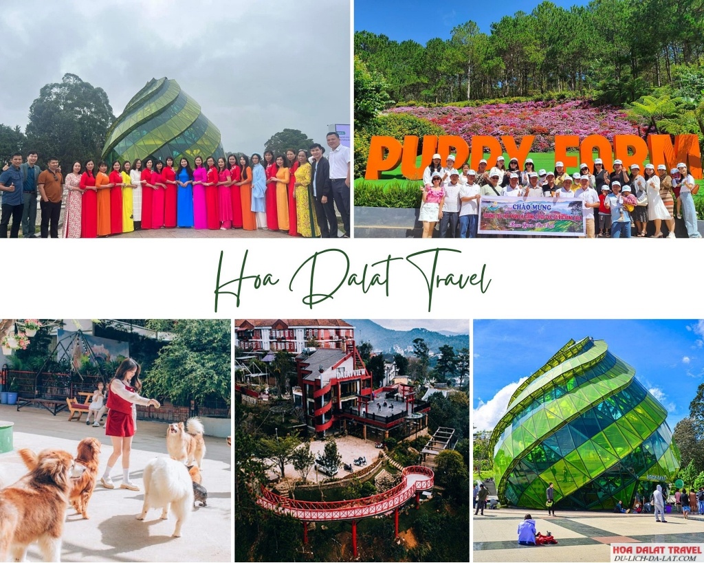 Lịch trình Tour 2 ngày 1 đêm Đà Lạt giá rẻ cho khách đoàn và công ty