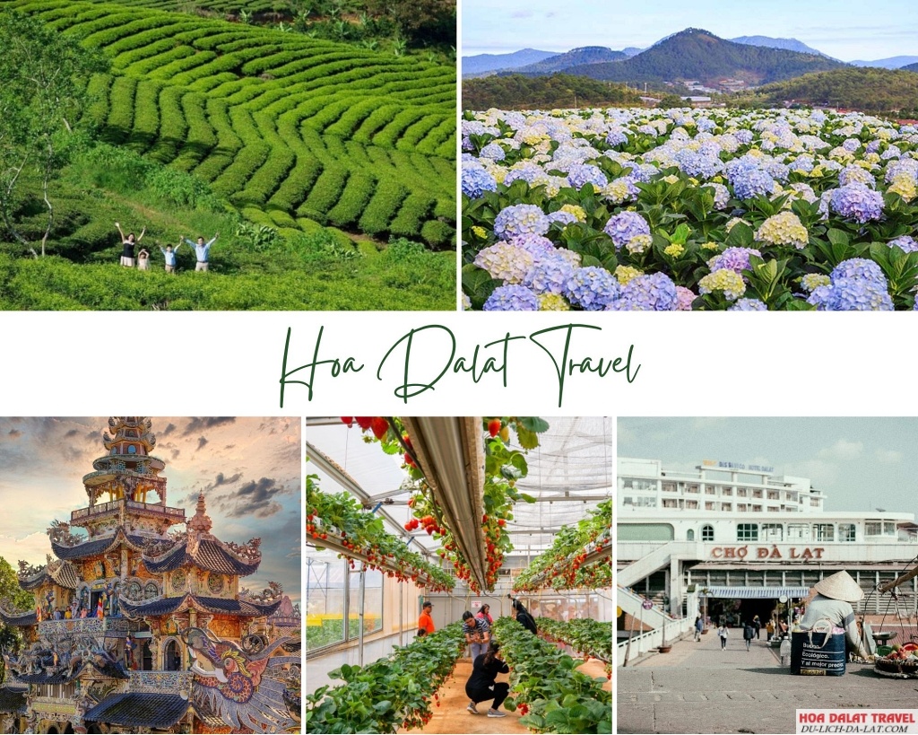 Tour Đà Lạt 2 ngày 1 đêm từ Tphcm