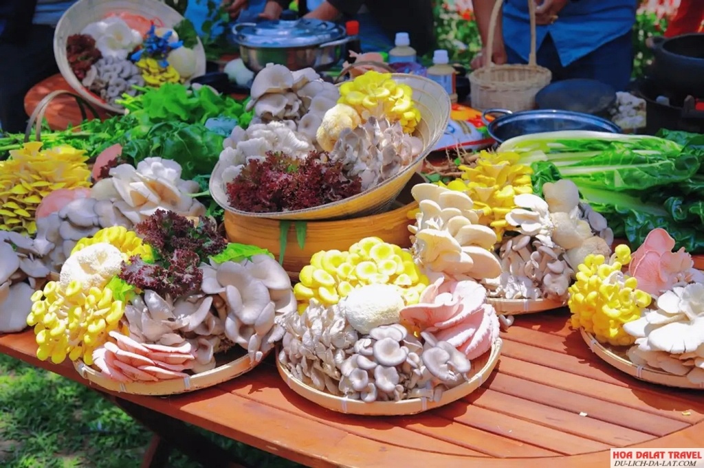trải nghiệm Làng nấm Đà Lạt