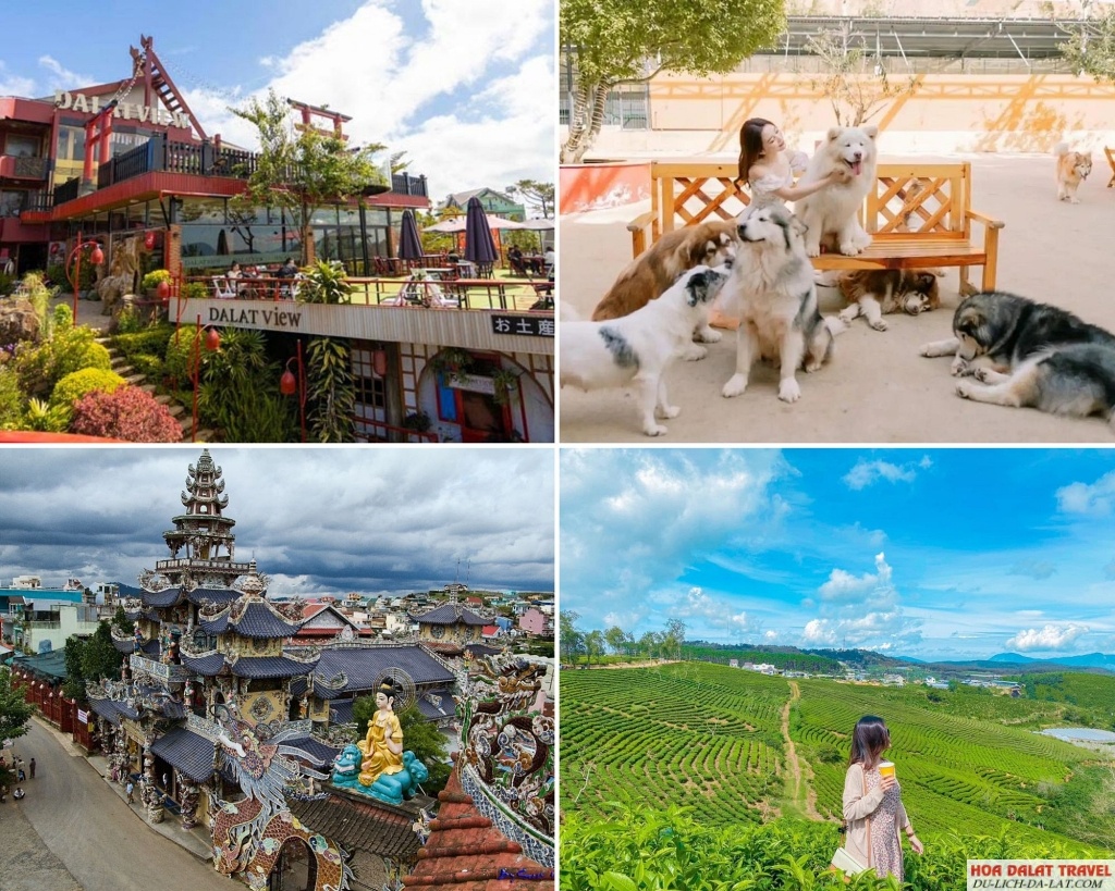 Các điểm tham quan trong tour Đà Lạt 2 ngày 1 đêm ghép đoàn & trọn gói