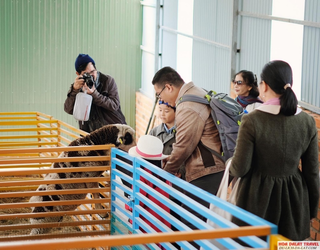 Khách tham gia tour tham quan sở thú Zoodoo