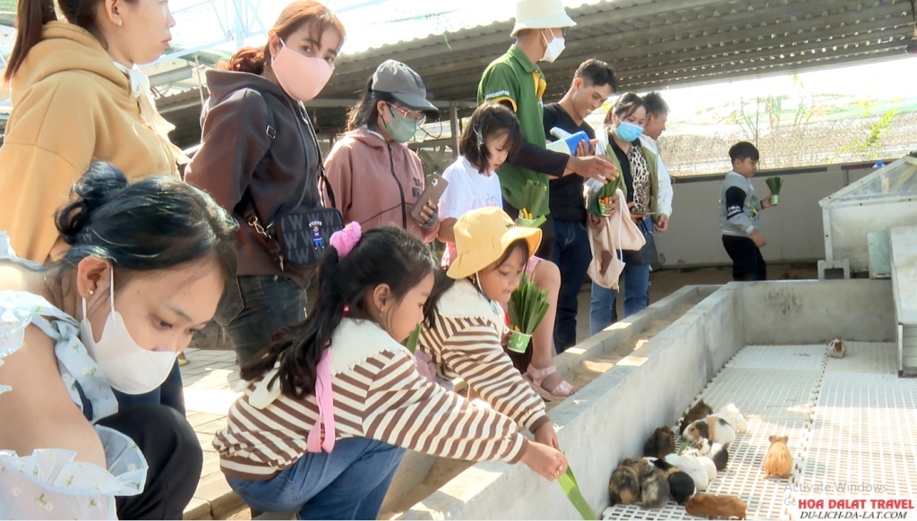 Tự tay cho thú ăn, hay vuốt ve chúng