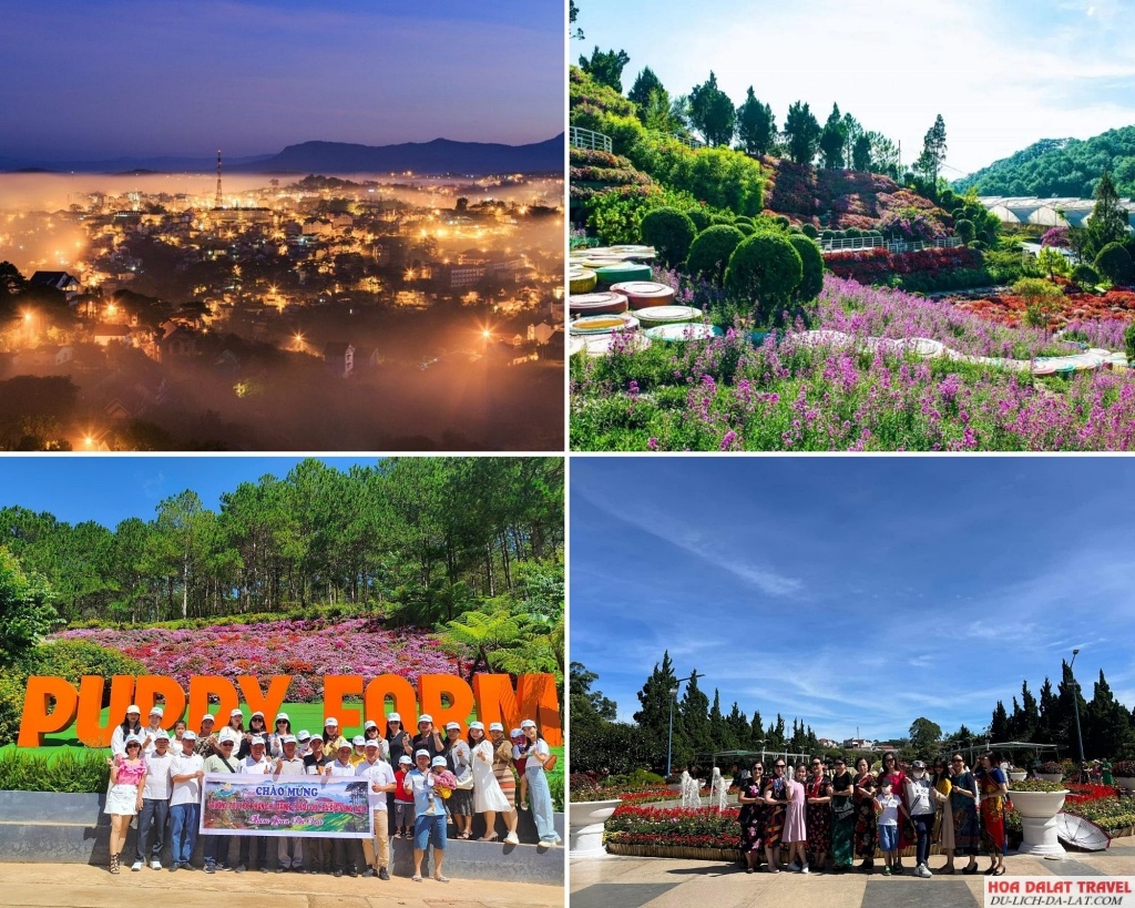 chương trình Tour Đà Lạt 4 ngày 3 đêm ngắm vẻ đẹp thiên nhiên, tận hưởng không khí trong lành