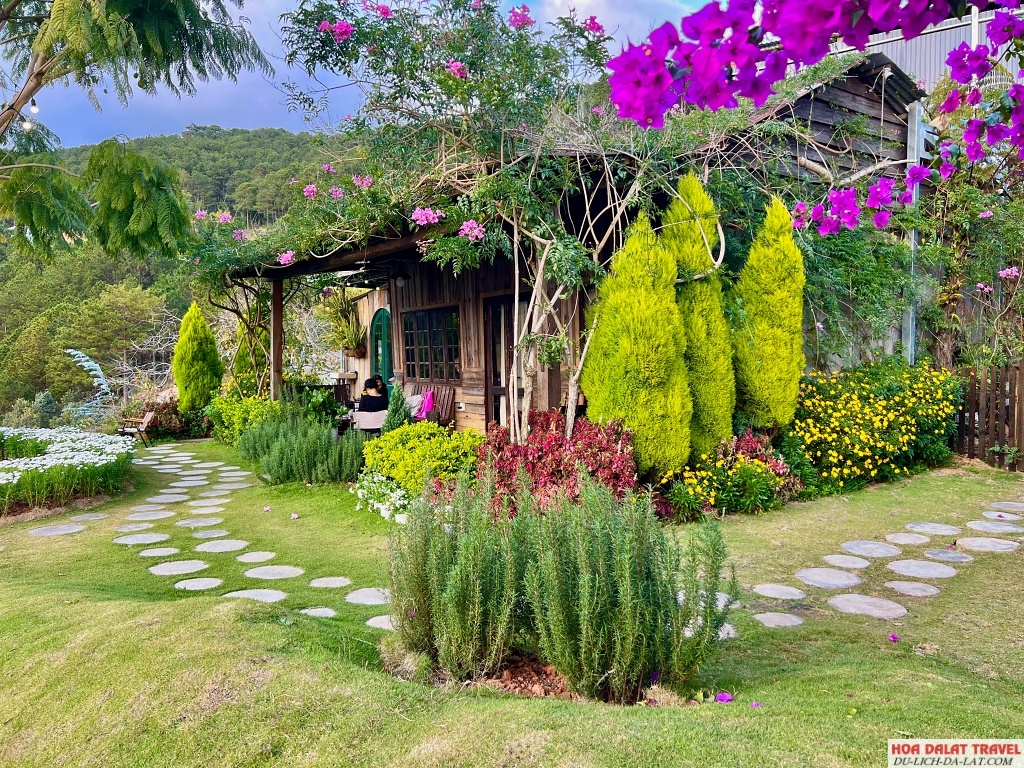 Không gian tiệm cà phê Dốc Thị với nhiều cây xanh và tiểu cảnh đẹp