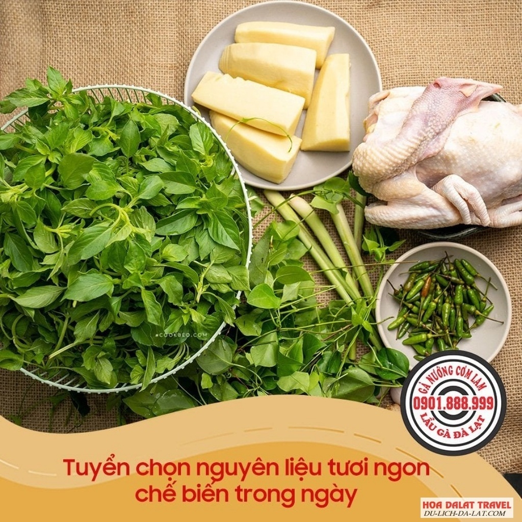Lẩu Gà Đà Lạt 0901888999 tuyển chọn hương liệu tươi ngon chế biến trong ngày