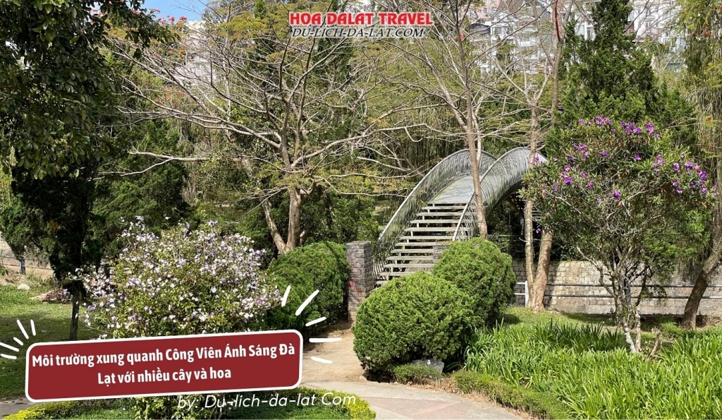 Môi trường xung quanh Công Viên Ánh Sáng Đà Lạt xanh mát