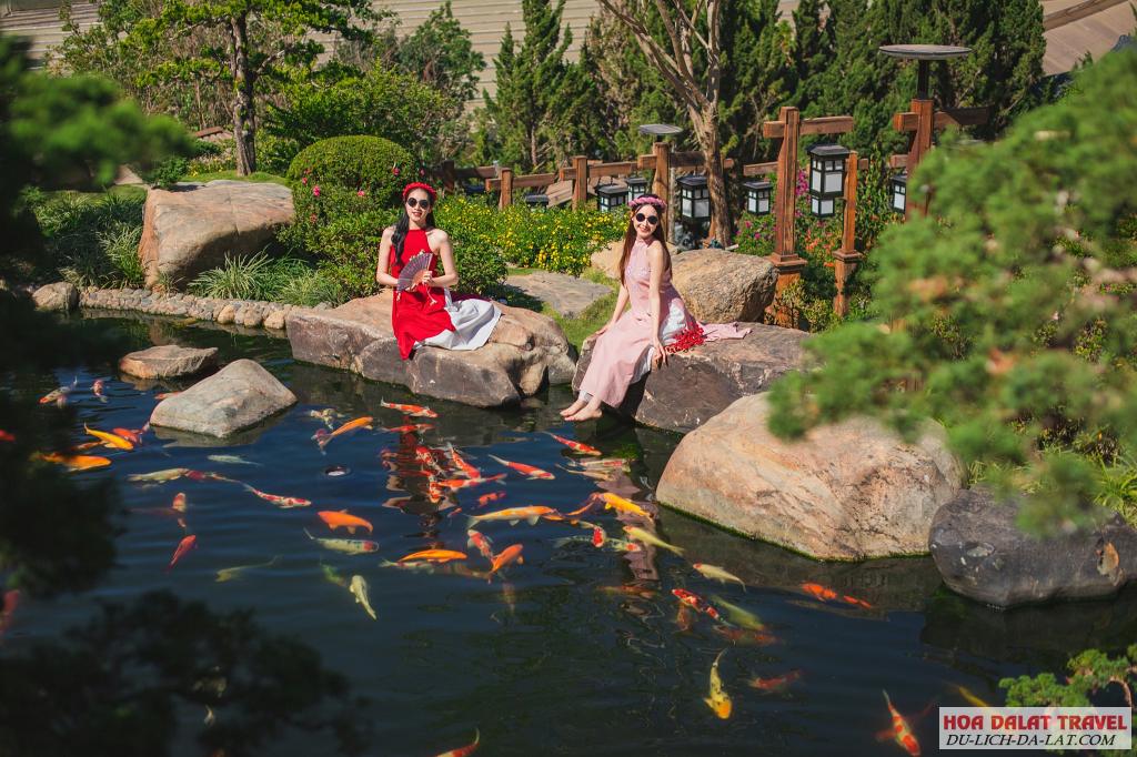 Hồ cá koi Quê Garden Vạn Thành là background chụp hình cực đẹp