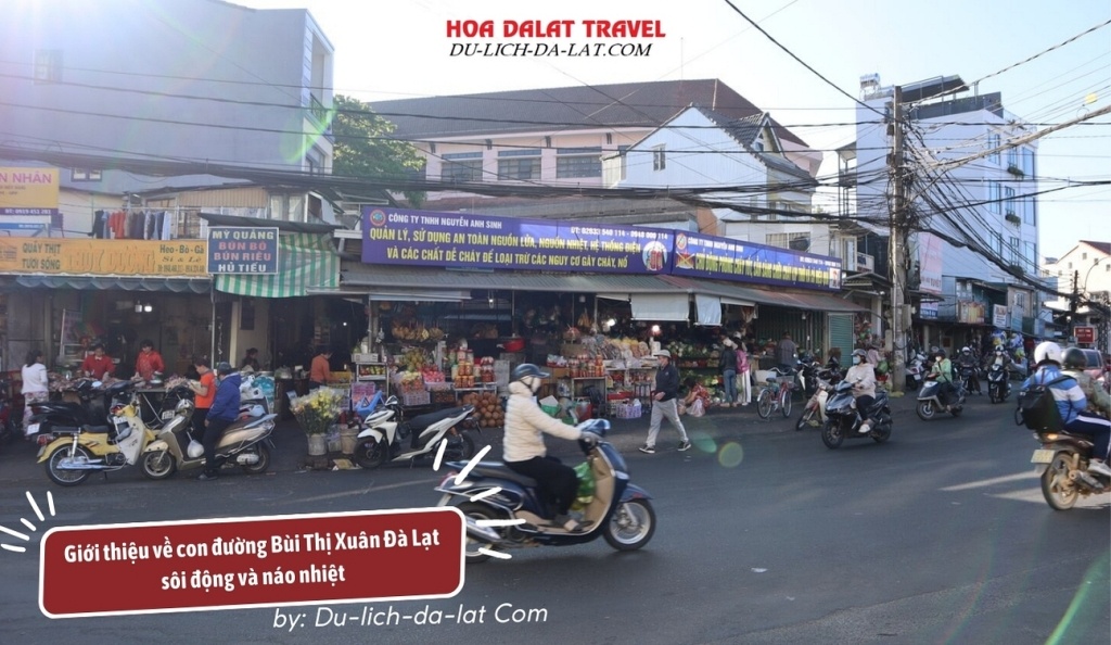 Giới thiệu về con đường Bùi Thị Xuân Đà Lạt