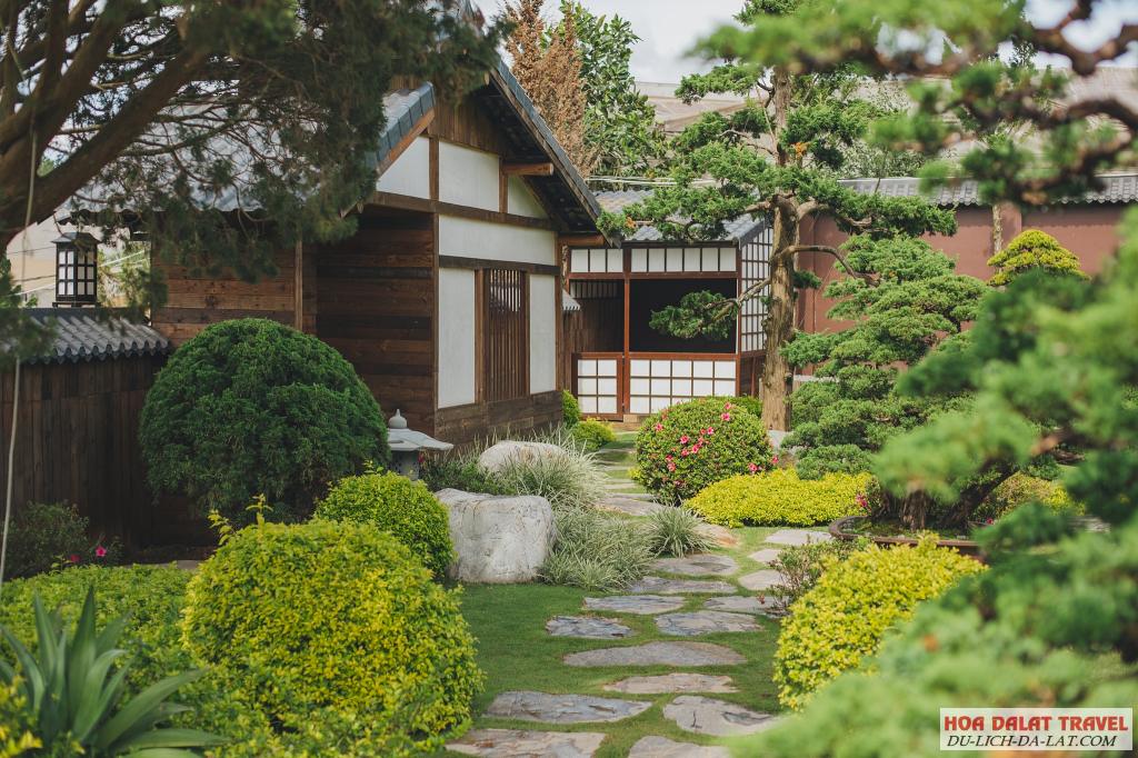 Khu vườn bonsai lá kim đẳng cấp ở QUÊ Garden