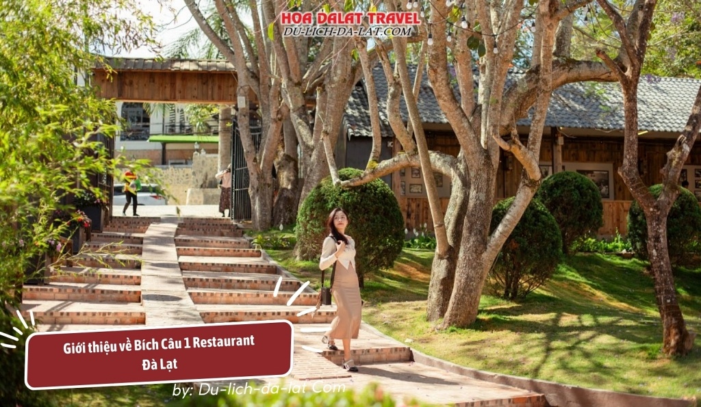 Giới thiệu về Bích Câu 1 Restaurant có không gian độc đáo, đậm chất xưa