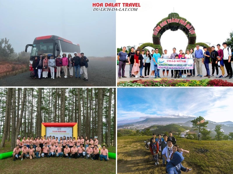 Các tour Đà Lạt đề xuất