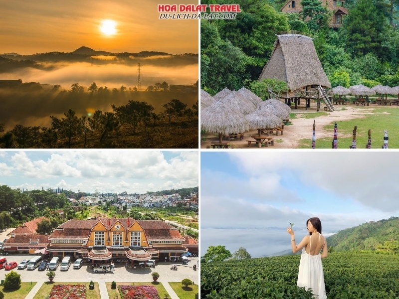 Ngày 3 Săn Mây Đồi Thiên Phúc Đức, khám phá Làng Cù Lần, Ga Đà Lạt và Đồi Chè Cầu Đất