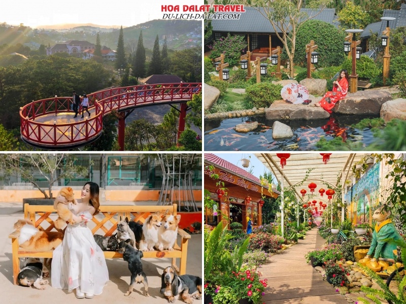 Tham quan Đà Lạt View, Quê Garden, Puppy Farm, Dalat Fairytale Land