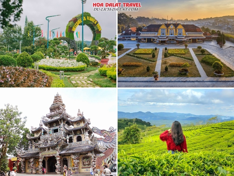 Tham quan Vườn hoa thành phố, Nhà ga Đà Lạt, Chùa Linh Phước, Đồi chè Cầu Đất