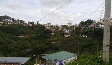 Cần bán lô đất nông nghiệp đường Hoàng Hoa Thám diện tích 500m²
