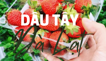 Dâu tây Đà Lạt