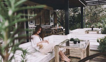 the shelter homestay