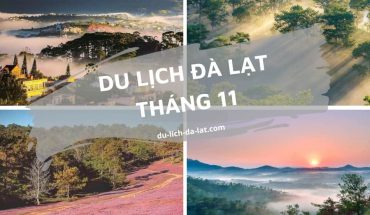 Du lịch Đà Lạt tháng 11