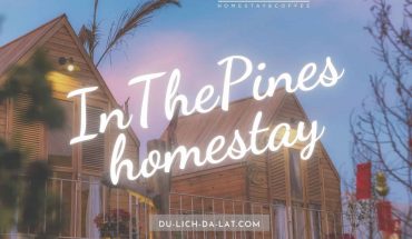 InThePines homestay