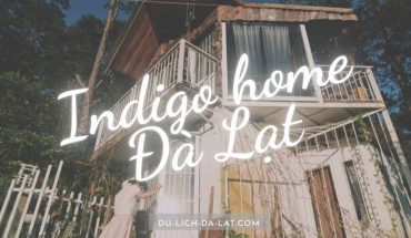 Indigo home Đà Lạt