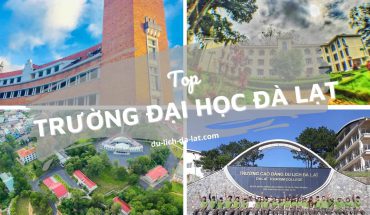 Top trường Đại học Đà Lạt