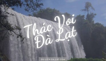 Thác Voi Đà Lạt