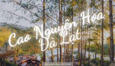 Cao nguyên Hoa Đà Lạt