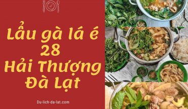 Lẩu gà lá é 28 Hải Thượng Đà Lạt