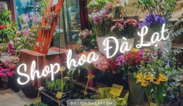Shop hoa Đà Lạt