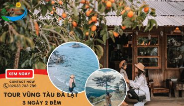 Tour Vũng Tàu Đà Lạt 3 ngày 2 đêm